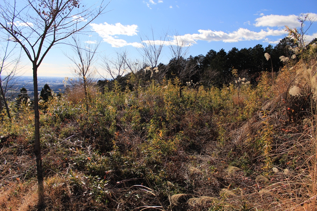 f:id:kurokuwa:20210111190843j:plain