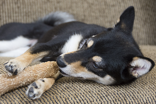 f:id:kuromamehana:20160811192013j:plain