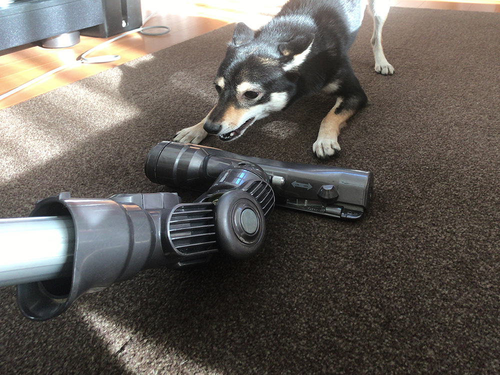 f:id:kuromamehana:20171225233925j:plain