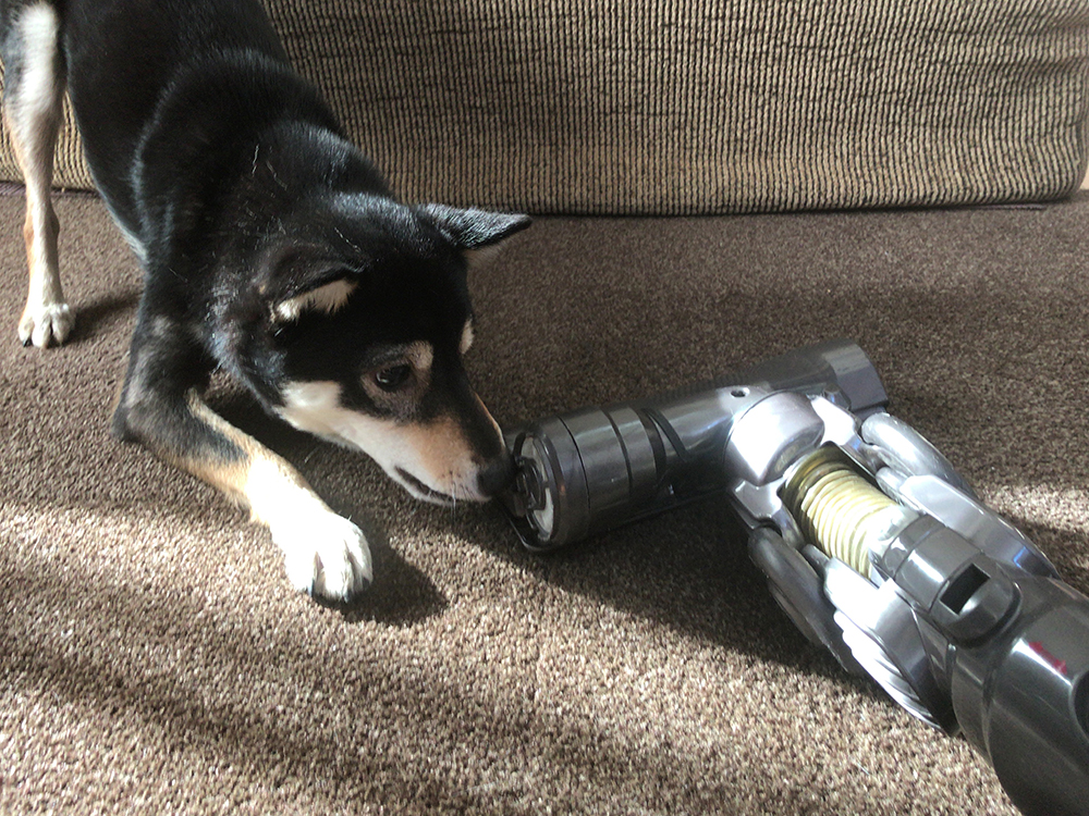 f:id:kuromamehana:20171225233930j:plain