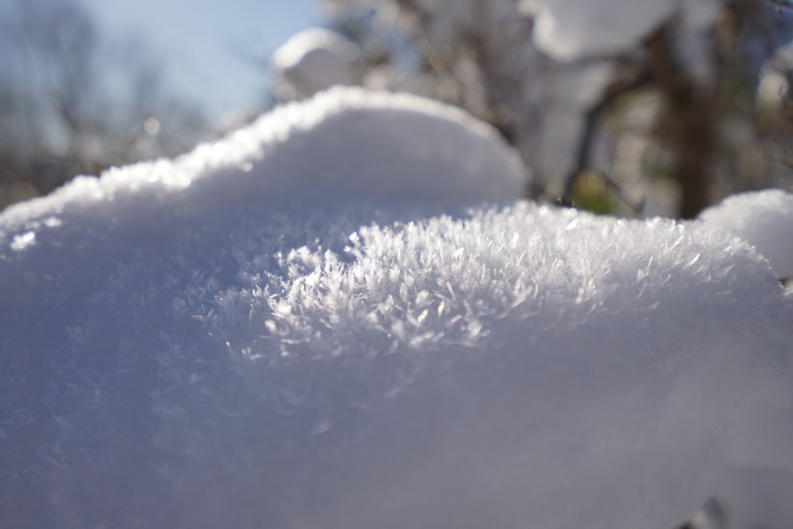 f:id:kuromenboo:20190114232717j:image