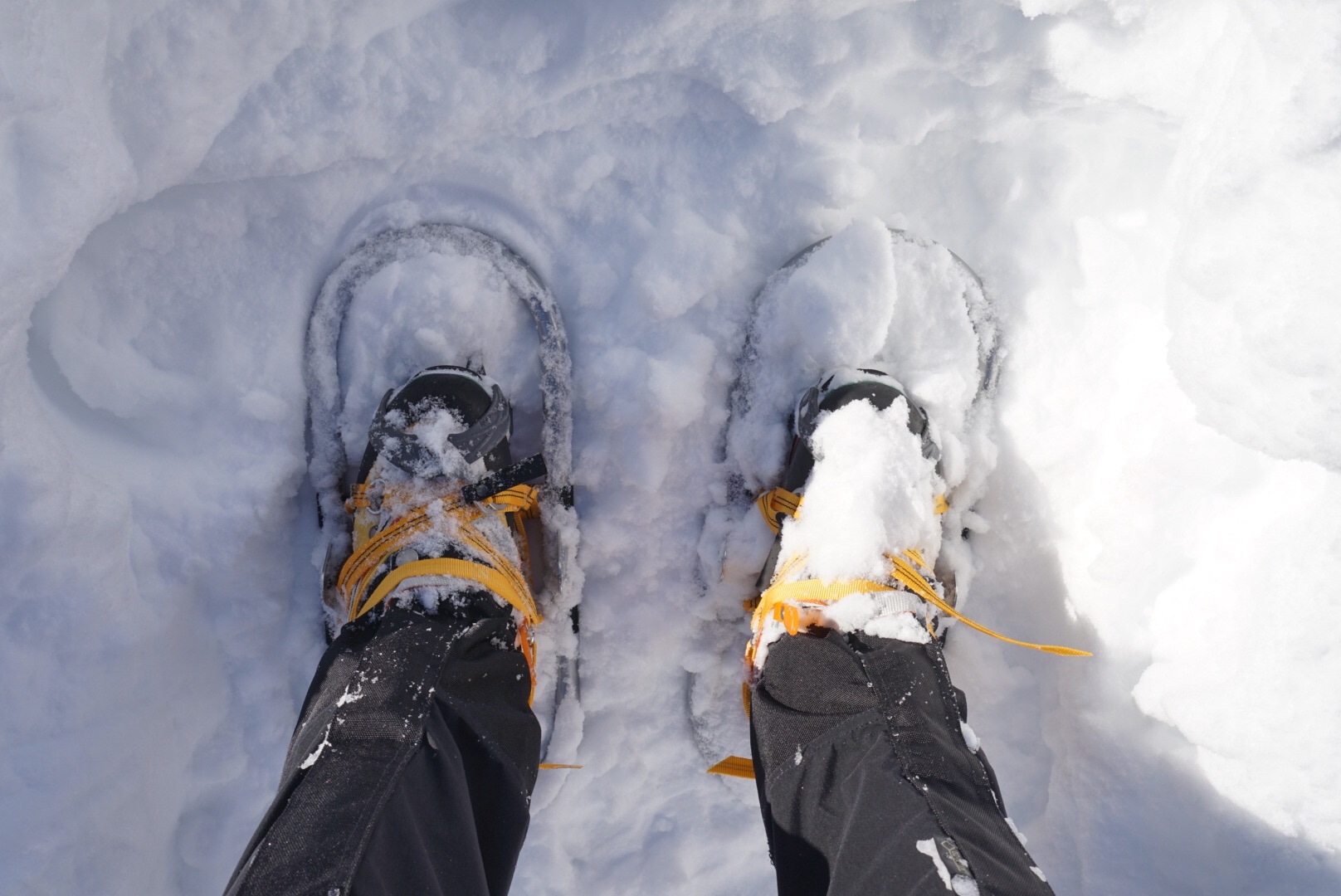 f:id:kuromenboo:20190114232743j:image