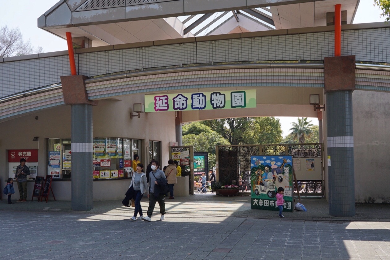 福岡県 大牟田市動物園のナマケモノ クリ 19年3月 自然と遊ぶ