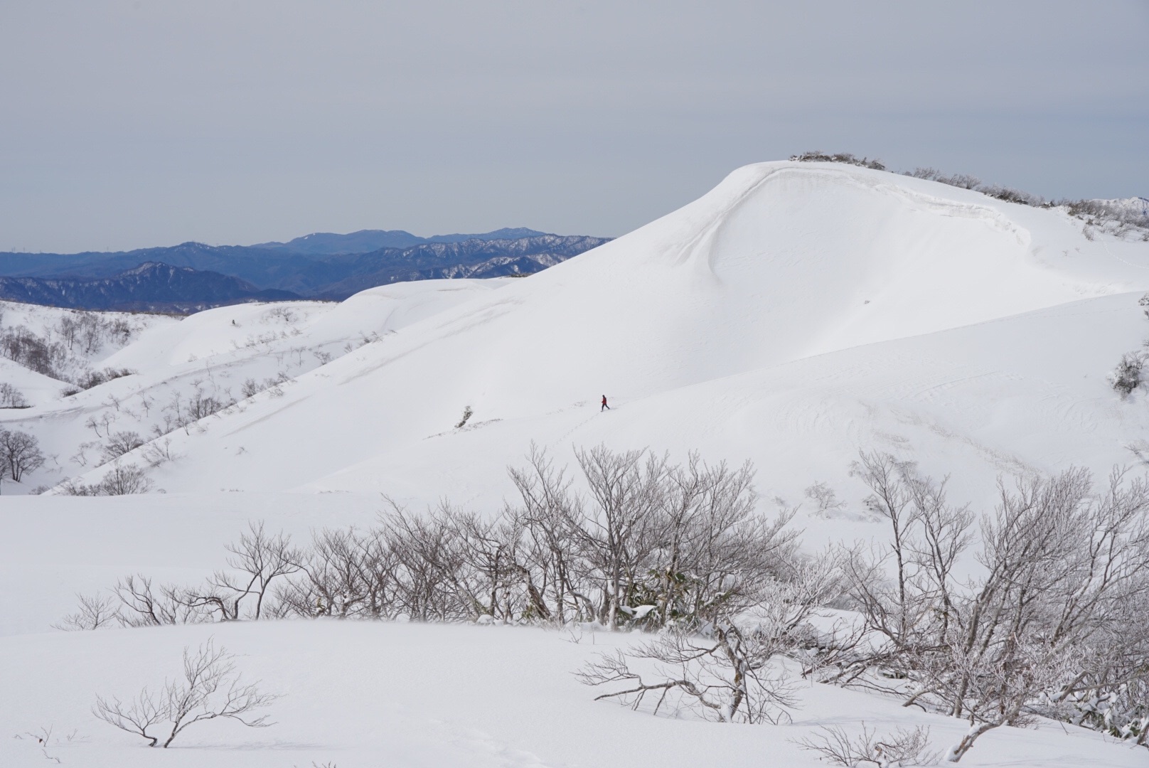 f:id:kuromenboo:20190507214001j:image