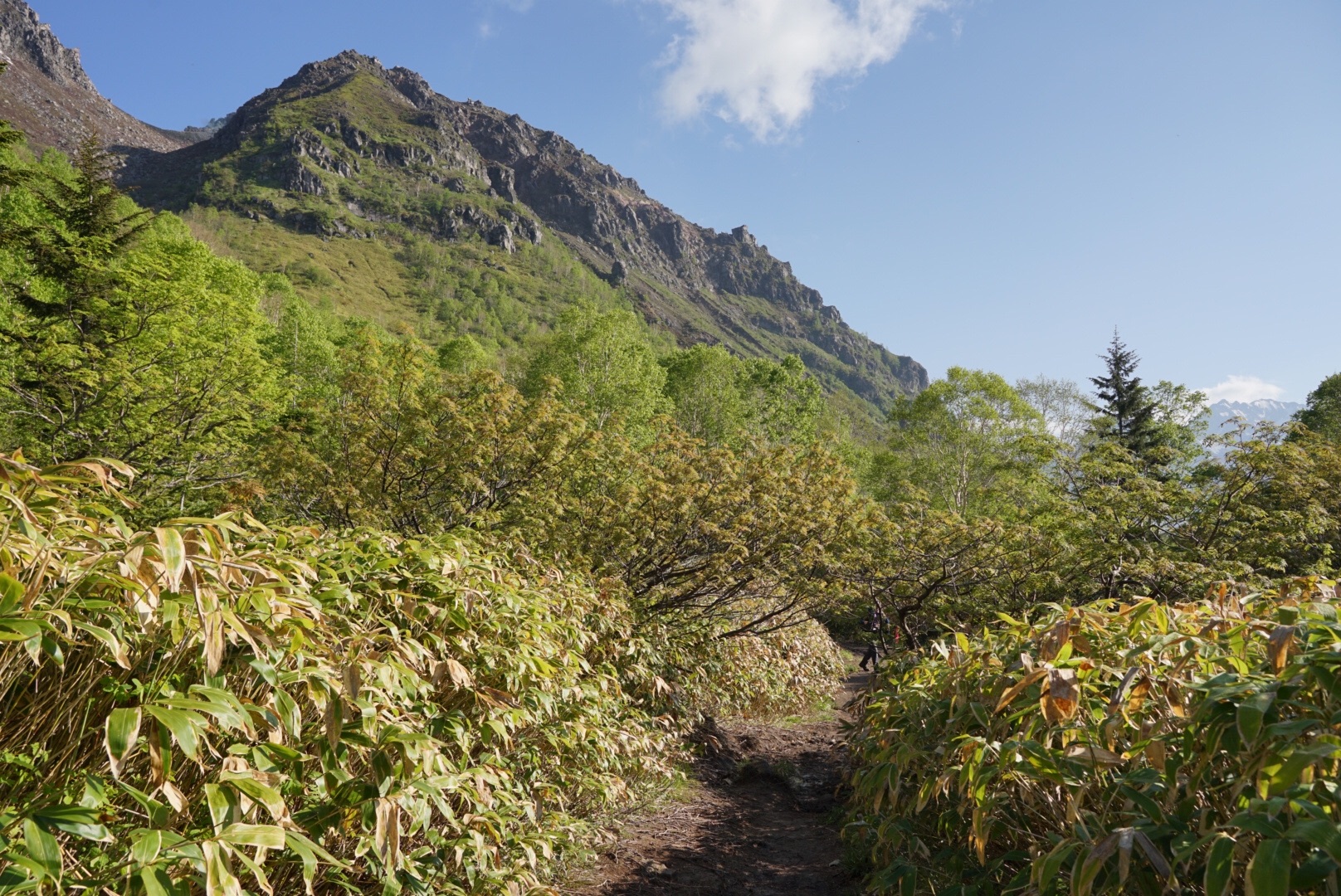 f:id:kuromenboo:20190629220255j:image