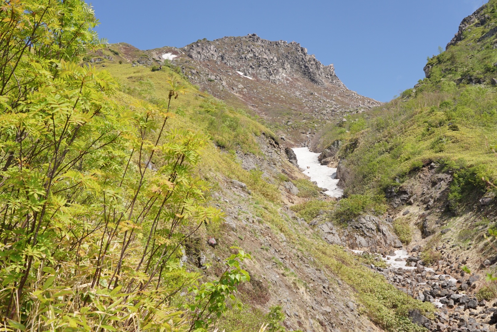 f:id:kuromenboo:20190629220324j:image