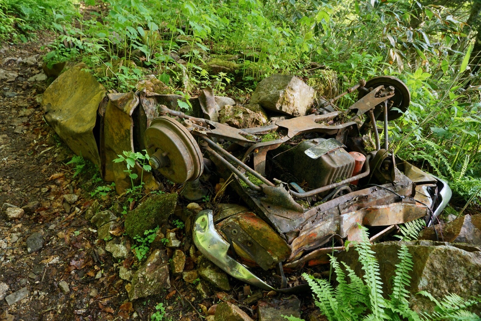 f:id:kuromenboo:20190629220418j:image