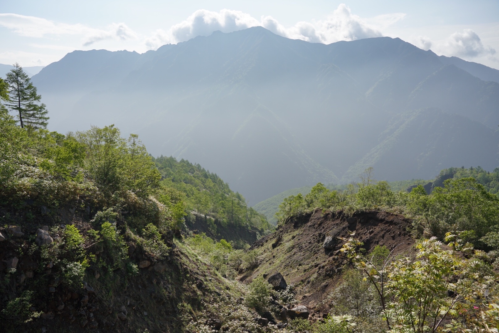 f:id:kuromenboo:20190629220500j:image