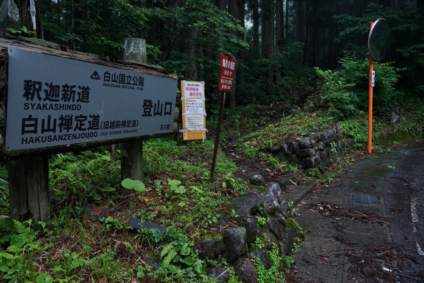 f:id:kuromenboo:20190718224854j:image f:id:kuromenboo:20190718224854j:image