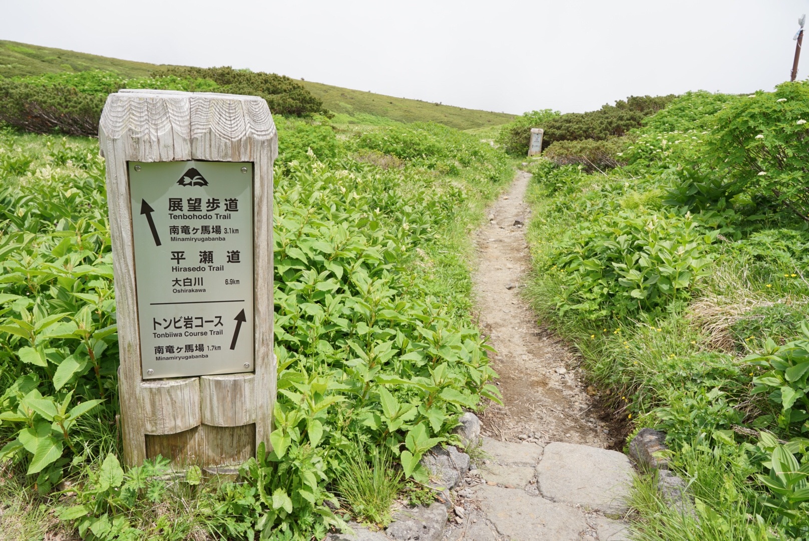 f:id:kuromenboo:20190718224914j:image f:id:kuromenboo:20190718224914j:image