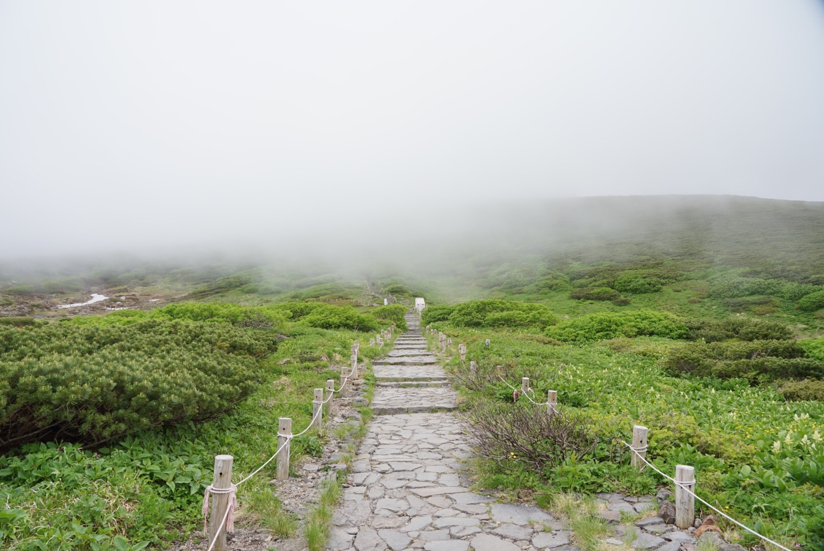 f:id:kuromenboo:20190718224927j:image f:id:kuromenboo:20190718224927j:image