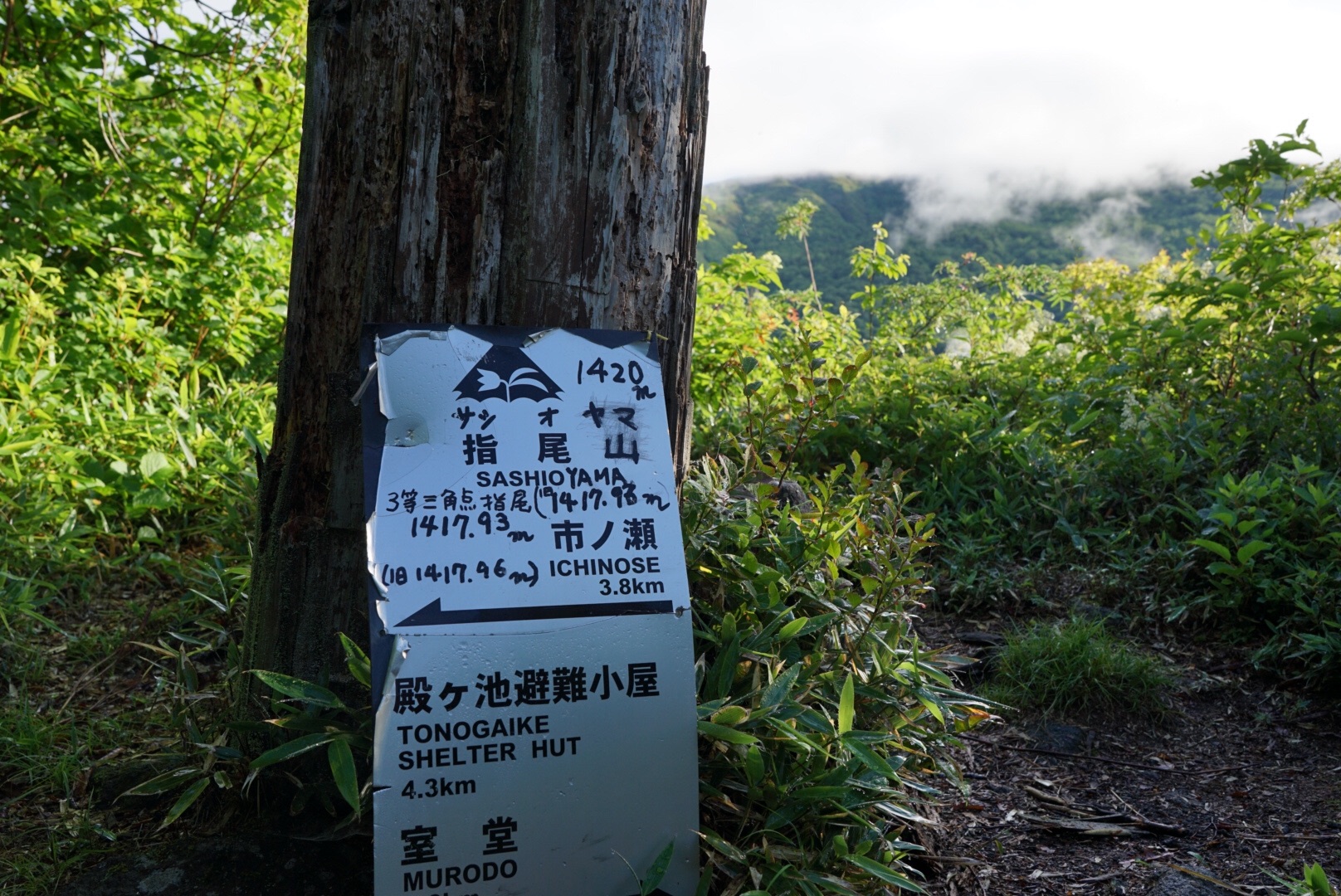 f:id:kuromenboo:20190718225116j:image f:id:kuromenboo:20190718225116j:image