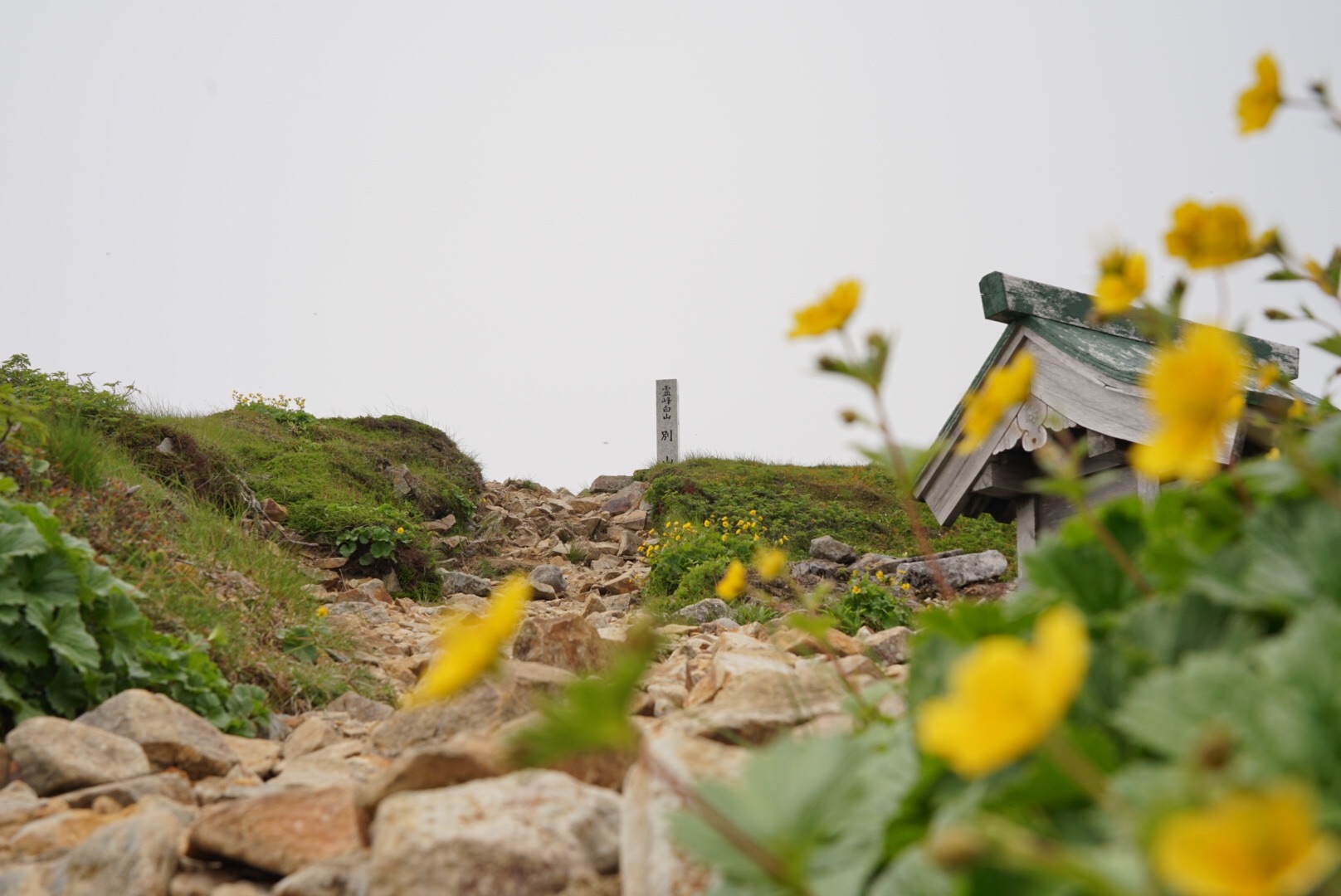 f:id:kuromenboo:20190718225711j:image f:id:kuromenboo:20190718225711j:image