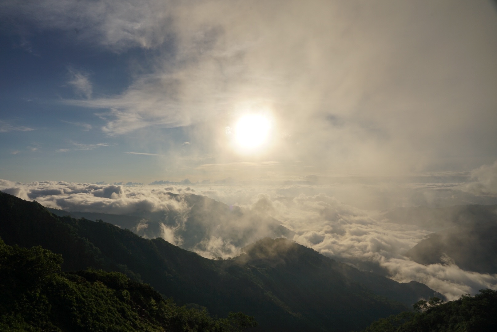 f:id:kuromenboo:20190718225715j:image f:id:kuromenboo:20190718225715j:image
