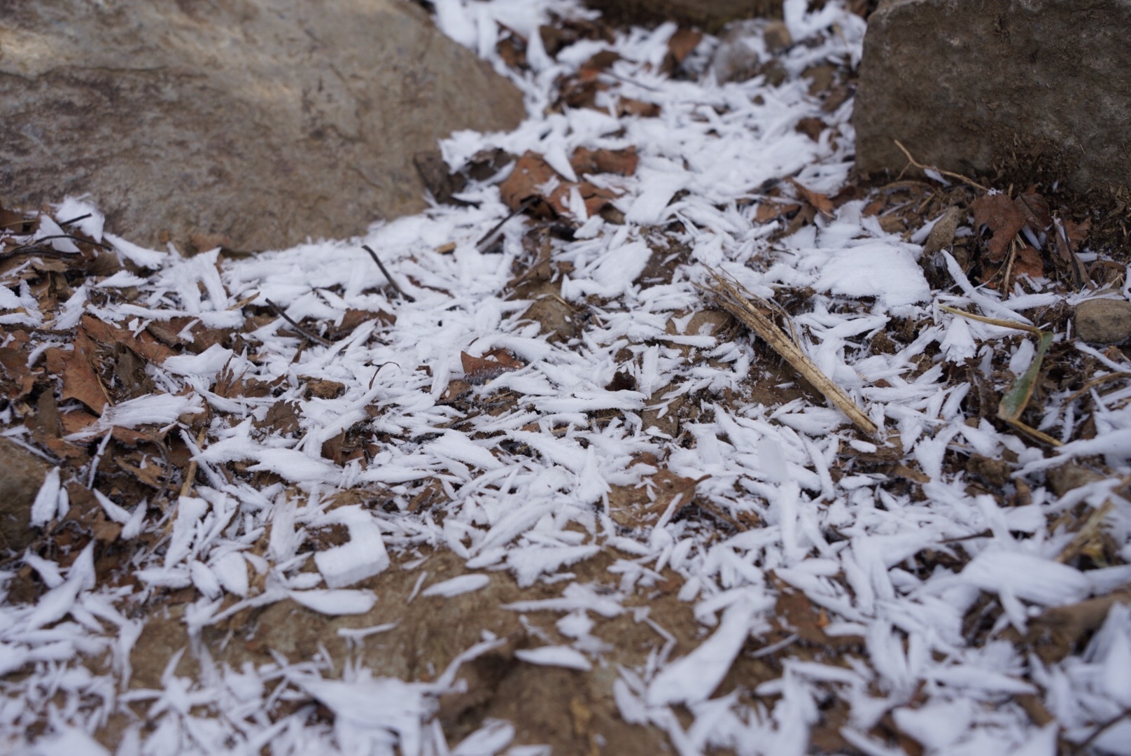 f:id:kuromenboo:20191130230117j:image f:id:kuromenboo:20191130230117j:image