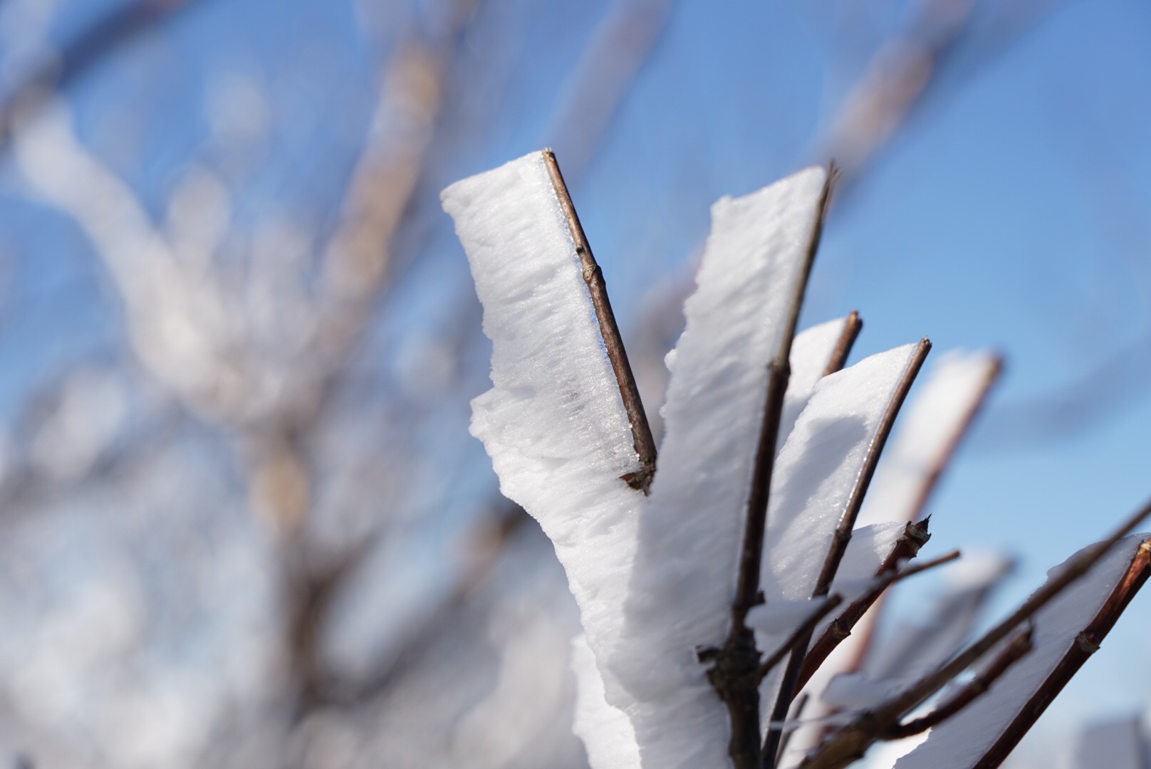 f:id:kuromenboo:20191130230139j:image f:id:kuromenboo:20191130230139j:image