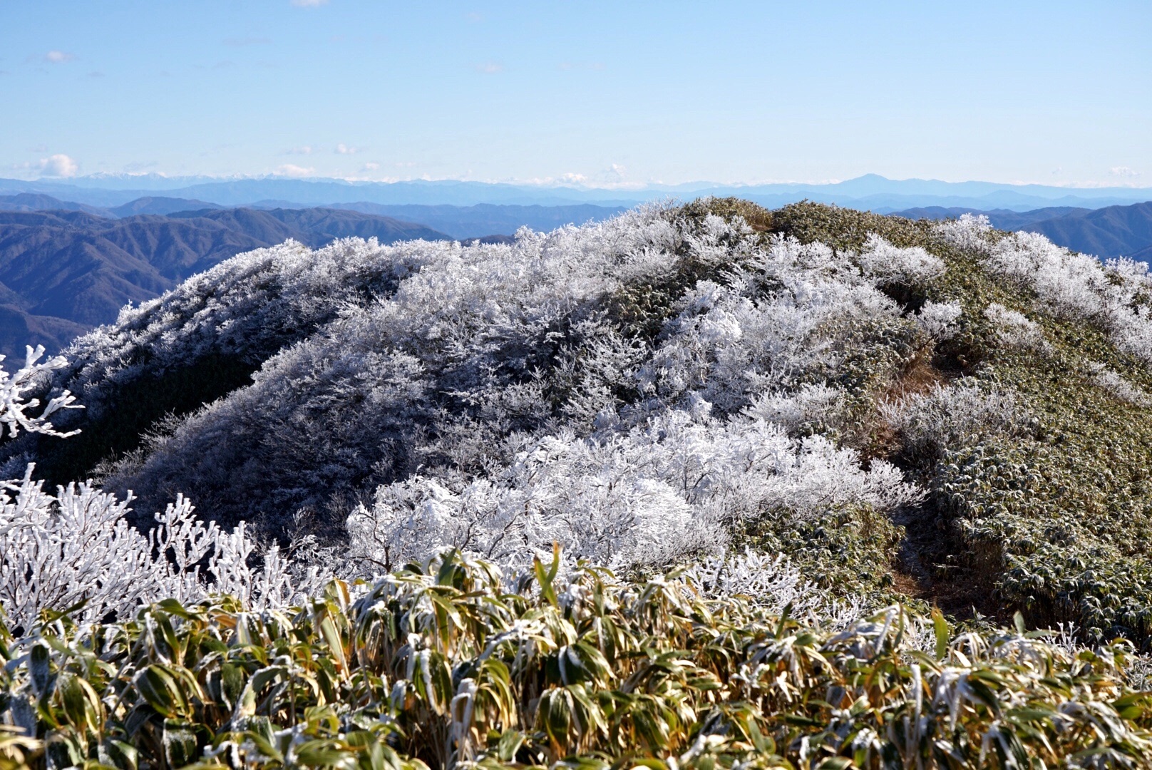 f:id:kuromenboo:20191130230147j:image f:id:kuromenboo:20191130230147j:image