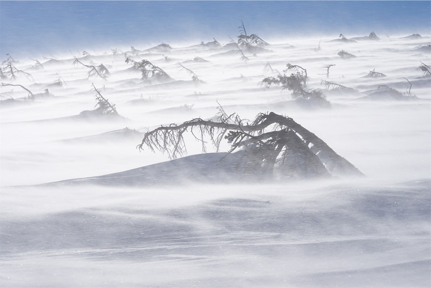 白山 幻の百四丈滝  絶景写真 百四丈滝の滝壺へ丸石谷沢登り～白山が育んだ幻の滝～（2018年10
