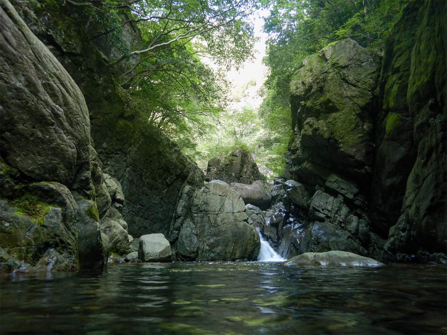 滋賀県】渋川で沢登り！中級者向け｜泳ぎ・登攀ありのルートと装備を