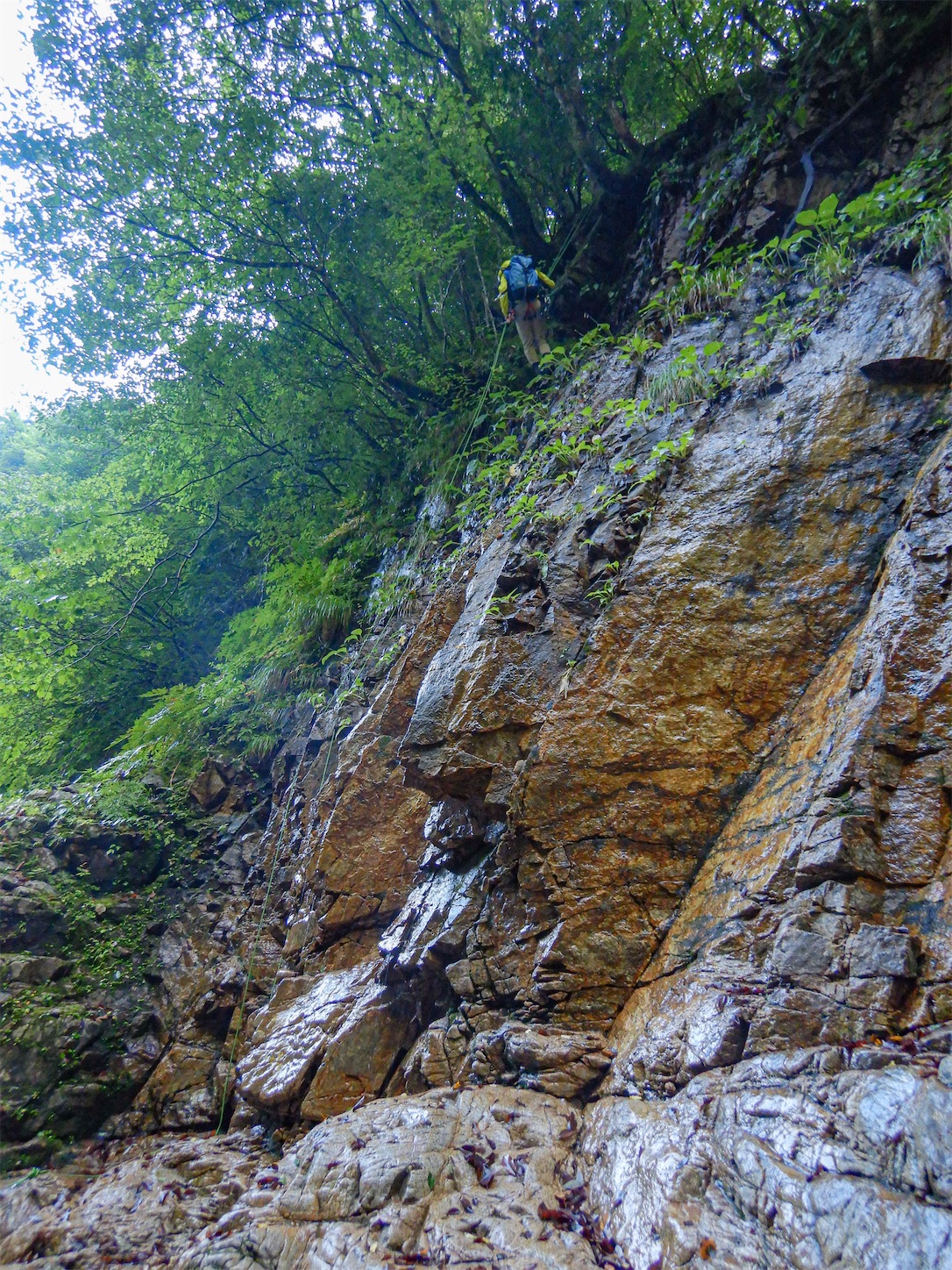 f:id:kuromenboo:20200816085058j:plain