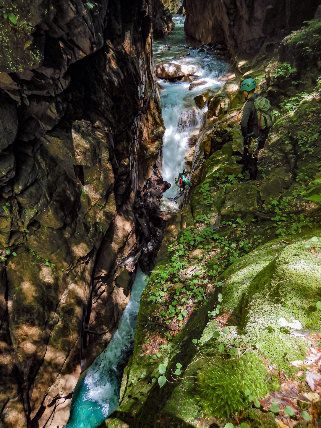 f:id:kuromenboo:20200816085126j:image