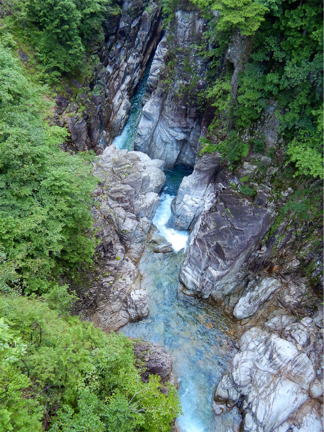 f:id:kuromenboo:20200816085236j:image