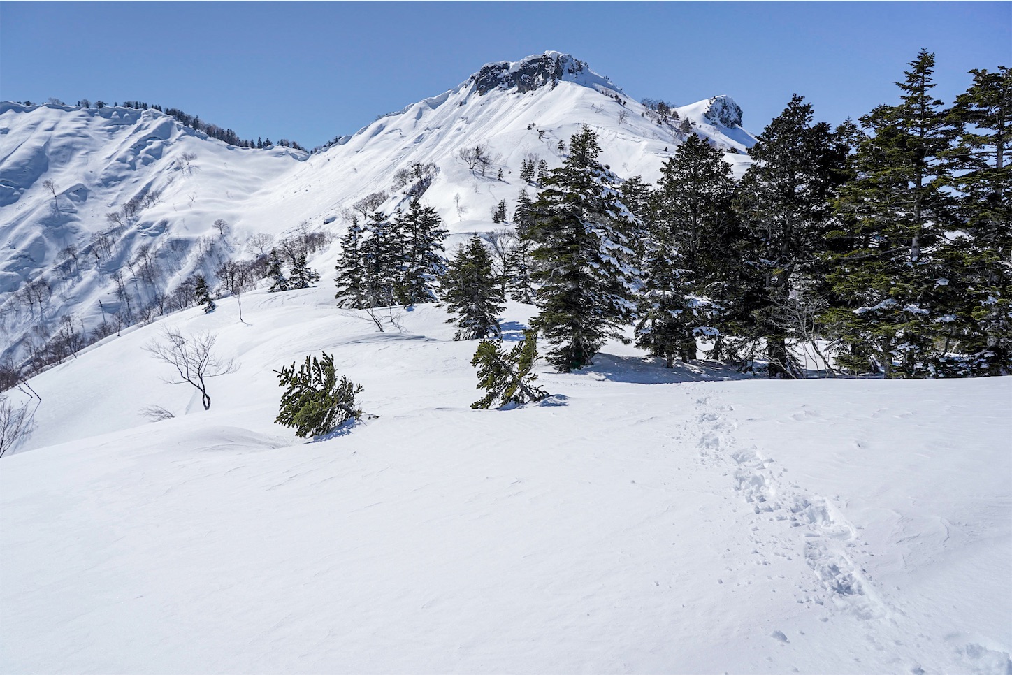 f:id:kuromenboo:20210321071411j:image