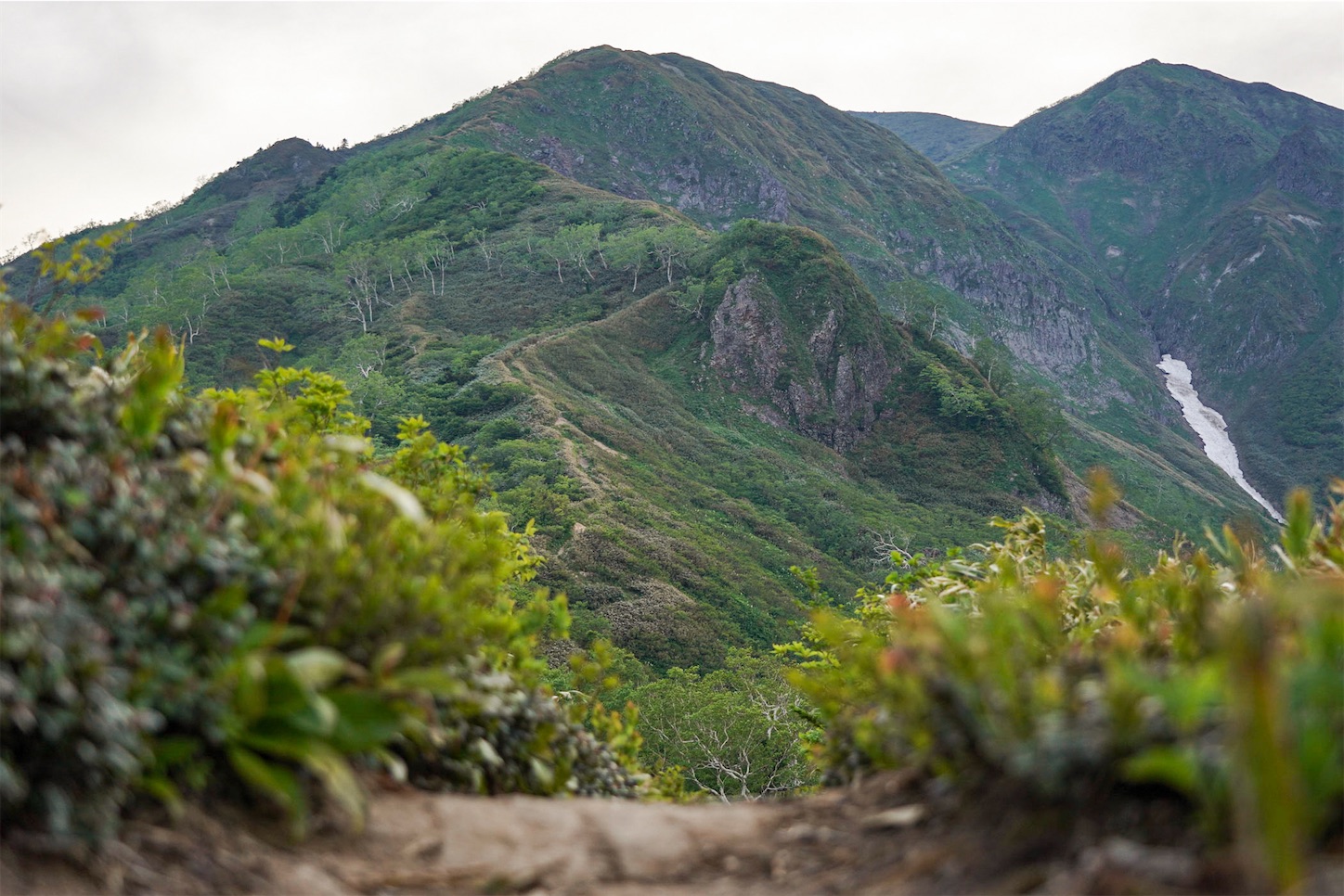 三ノ峰 別山登山 気持ちの良い稜線歩き 21年6月 自然と遊ぶ