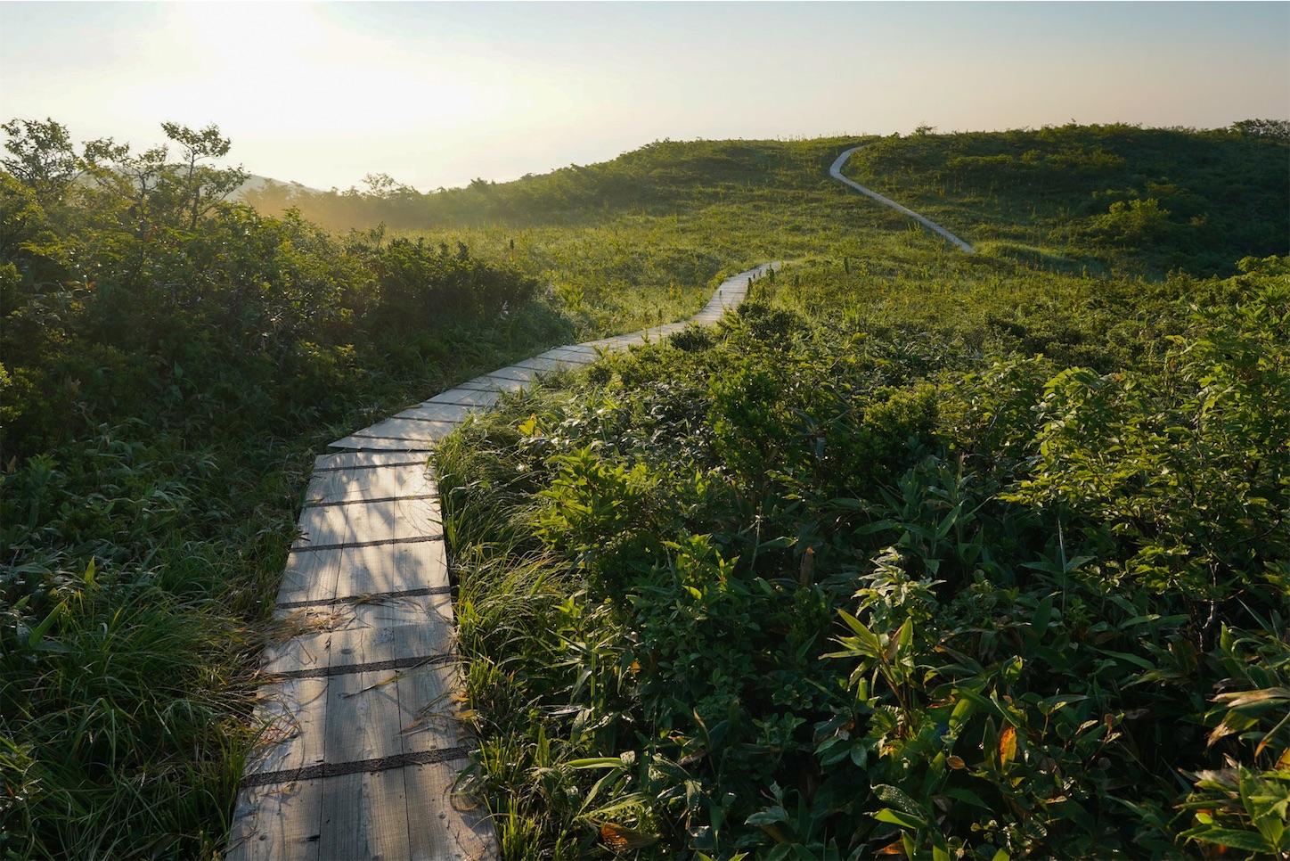 f:id:kuromenboo:20210724104649j:image