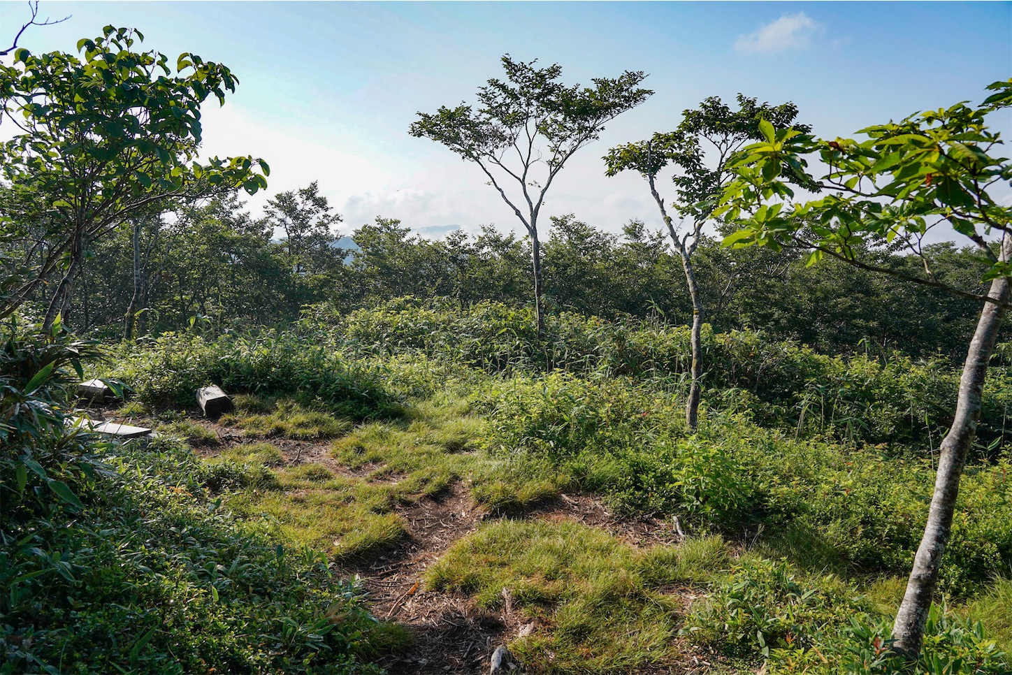 f:id:kuromenboo:20210724104703j:image