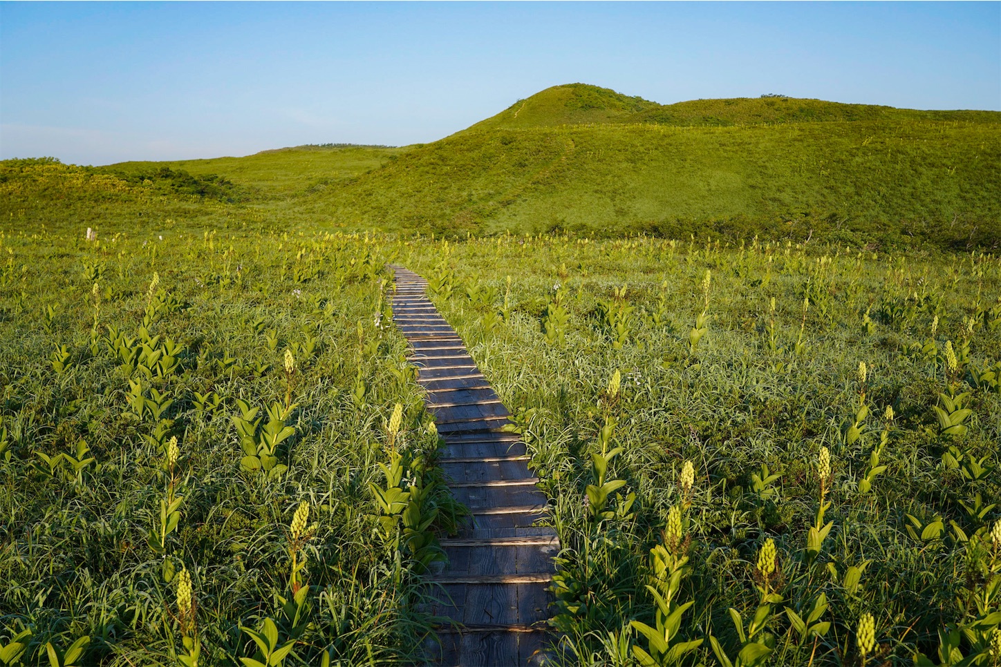 f:id:kuromenboo:20210724104801j:image