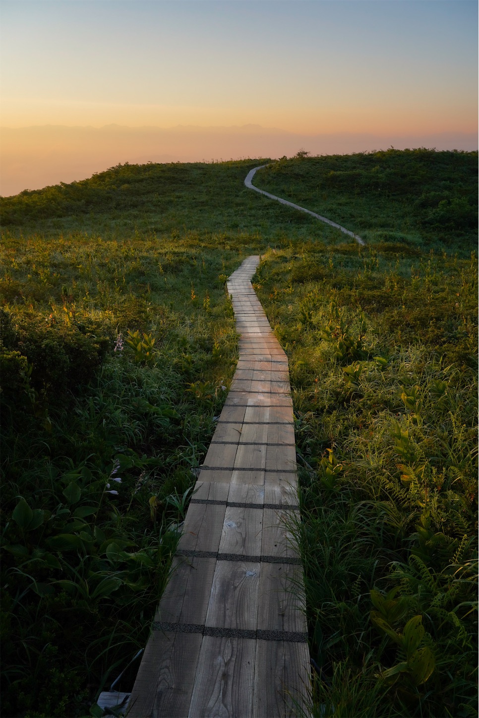 f:id:kuromenboo:20210724104825j:image