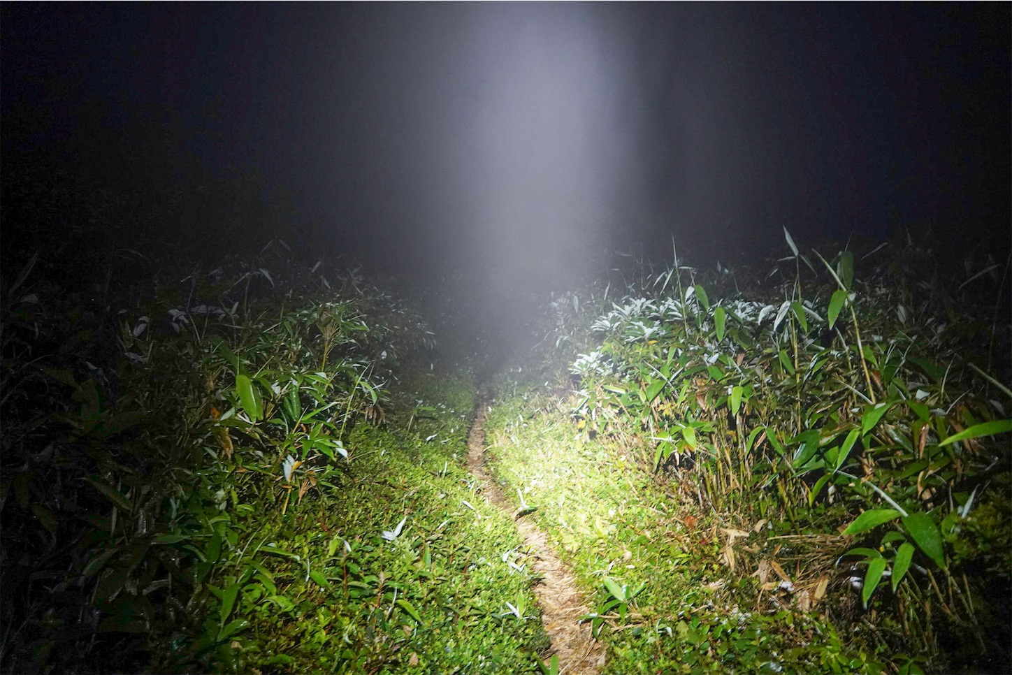 f:id:kuromenboo:20210724104905j:image