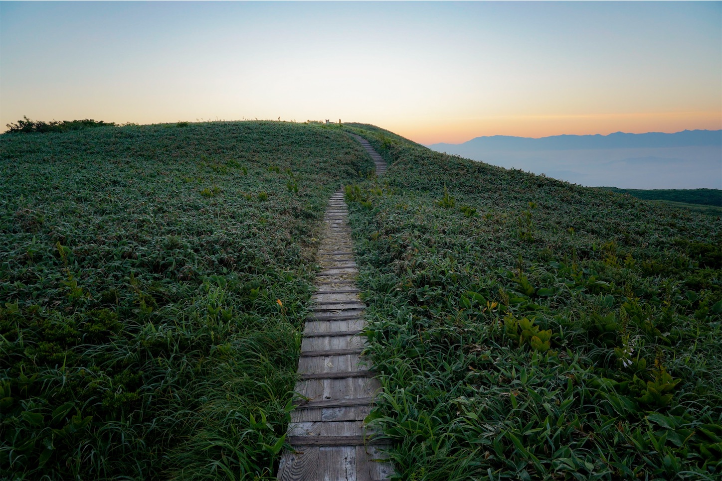 f:id:kuromenboo:20210724104947j:image