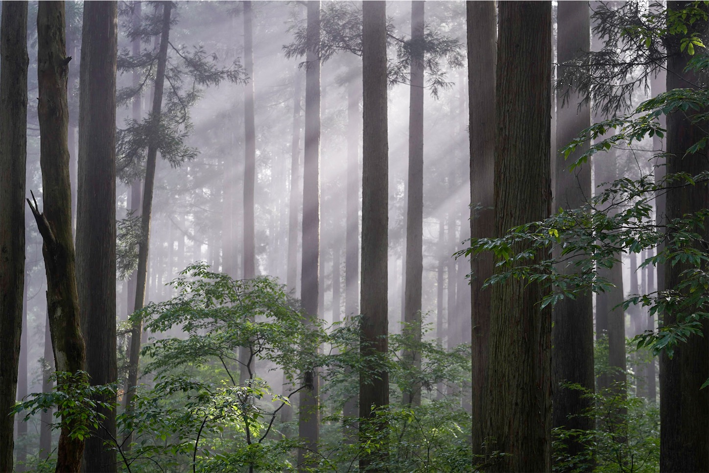 f:id:kuromenboo:20230523212622j:image