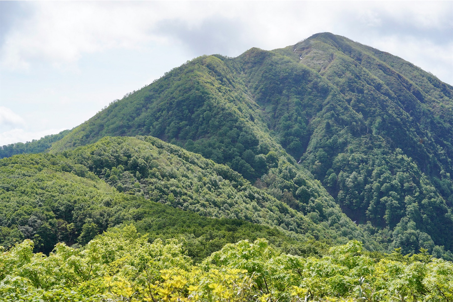 f:id:kuromenboo:20230523212715j:image