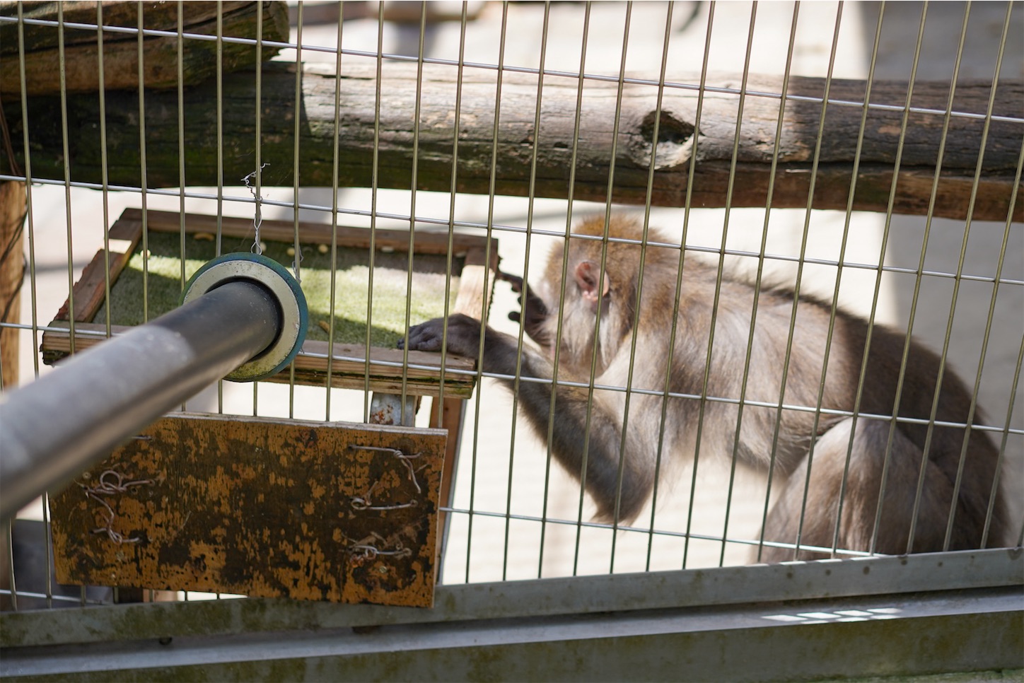 f:id:kuromenboo:20240616210022j:image