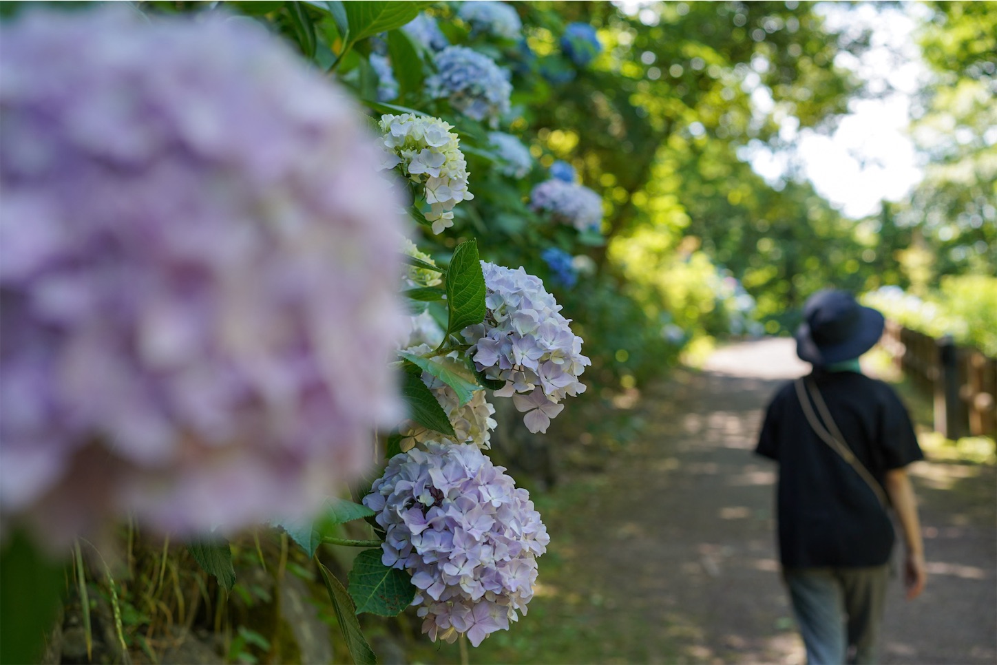 f:id:kuromenboo:20240616211657j:image