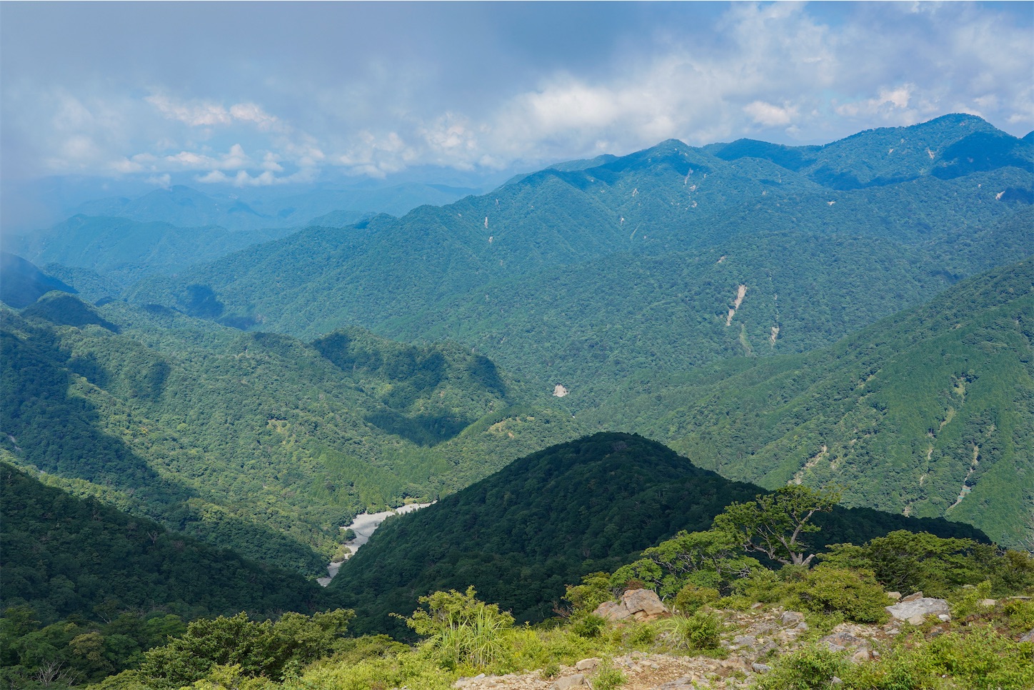 f:id:kuromenboo:20250731070814j:image f:id:kuromenboo:20250731070814j:image