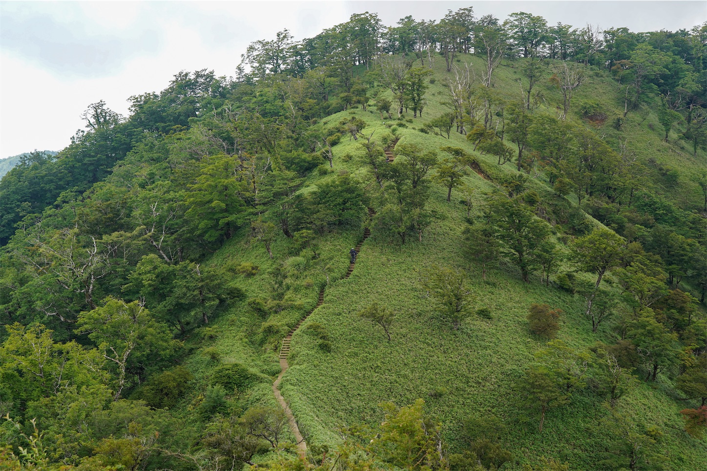 f:id:kuromenboo:20250731070818j:image f:id:kuromenboo:20250731070818j:image