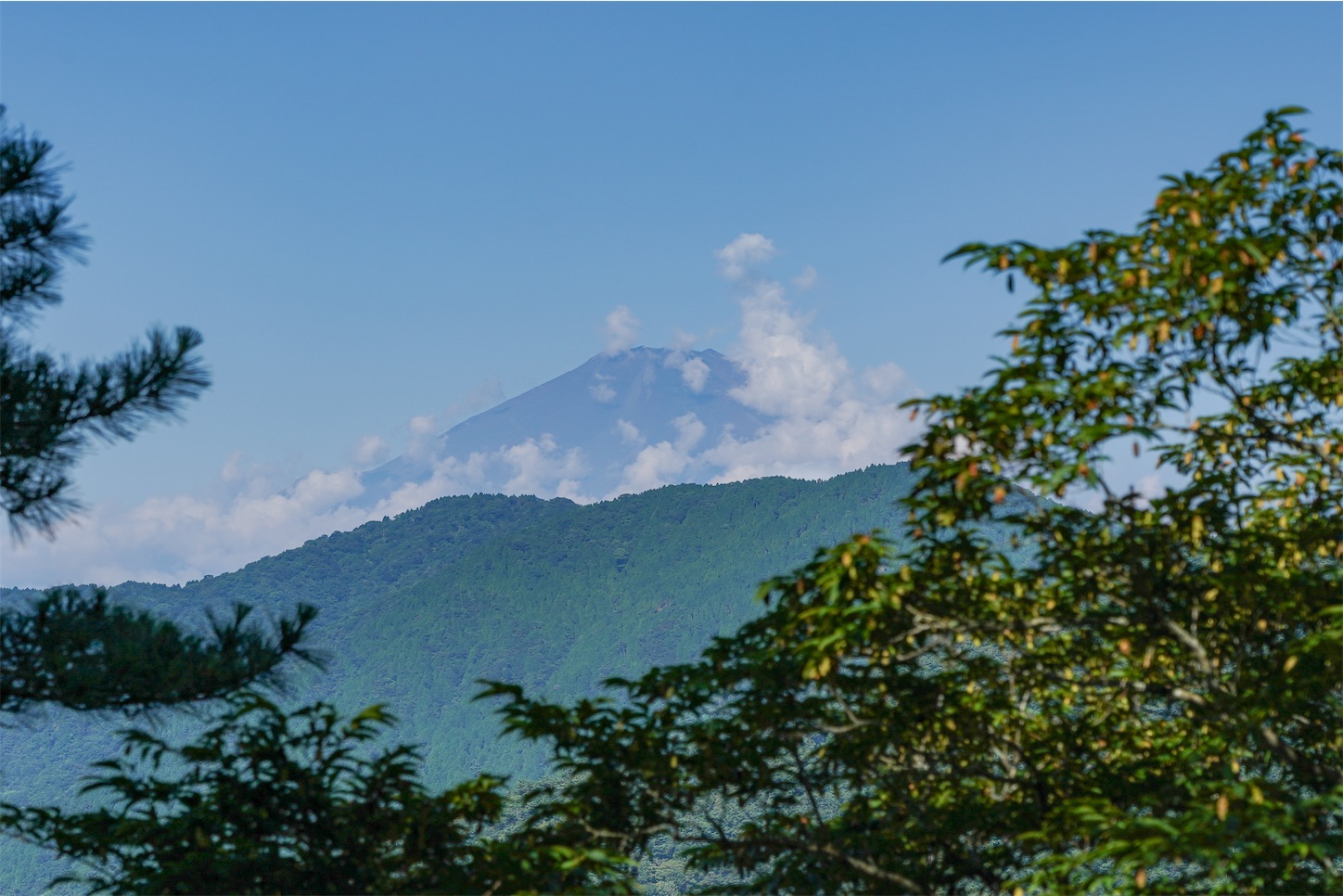 f:id:kuromenboo:20250731070821j:image f:id:kuromenboo:20250731070821j:image