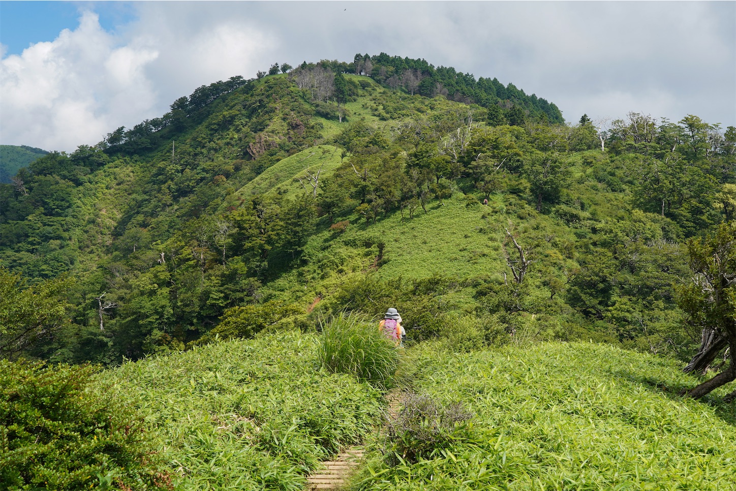 f:id:kuromenboo:20250731070825j:image f:id:kuromenboo:20250731070825j:image