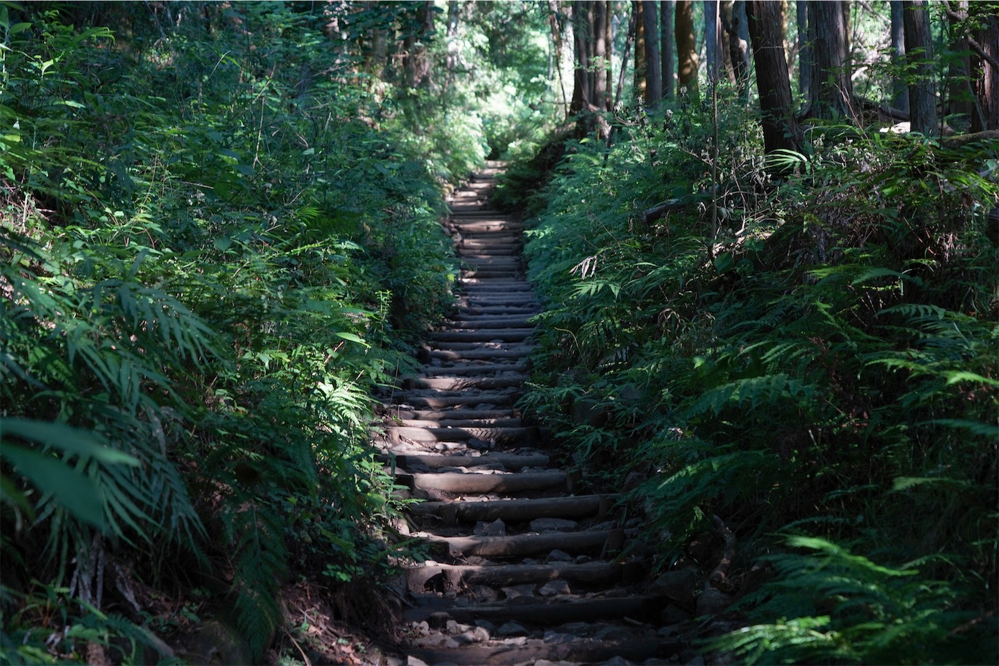 f:id:kuromenboo:20250731070845j:image f:id:kuromenboo:20250731070845j:image