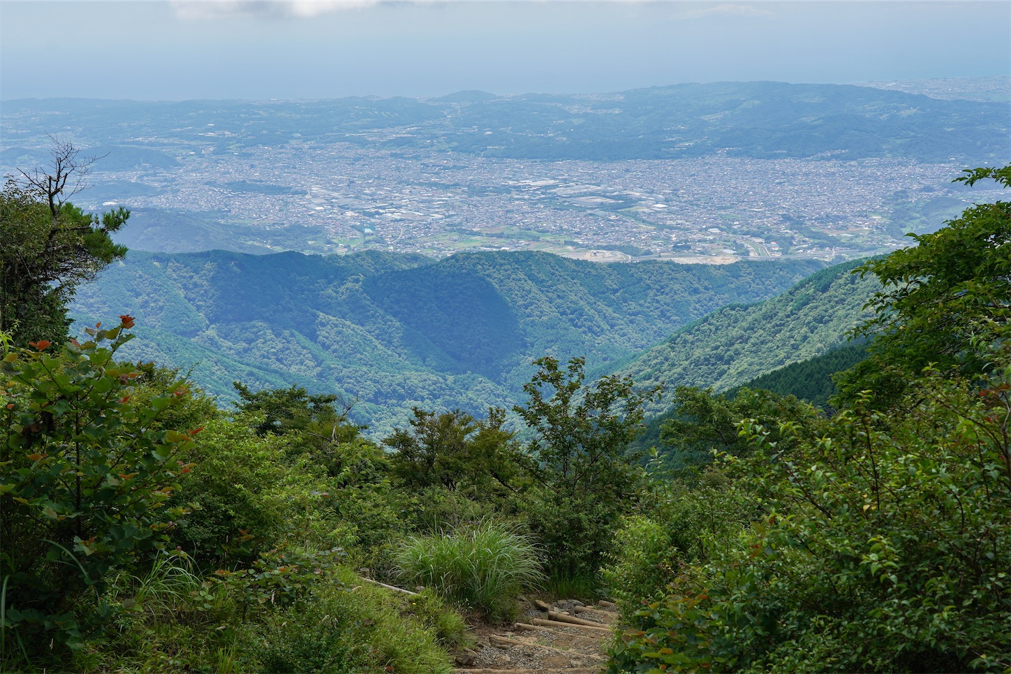 f:id:kuromenboo:20250731070849j:image f:id:kuromenboo:20250731070849j:image