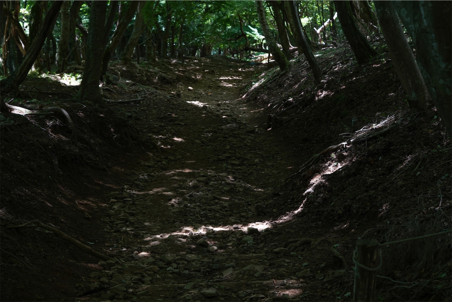 f:id:kuromenboo:20250731070854j:image f:id:kuromenboo:20250731070854j:image