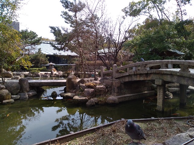 f:id:kuromi2963:20190218195218j:image f:id:kuromi2963:20190218195218j:image