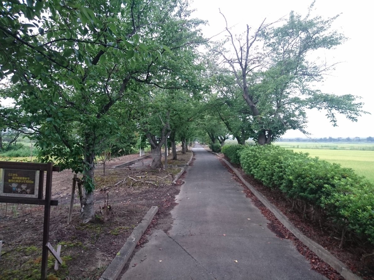 f:id:kuromitsukuromitsu:20191006230914j:plain f:id:kuromitsukuromitsu:20191006230914j:plain