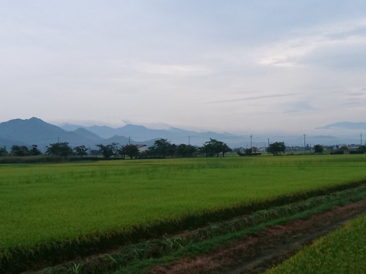 f:id:kuromitsukuromitsu:20191006231052j:plain f:id:kuromitsukuromitsu:20191006231052j:plain