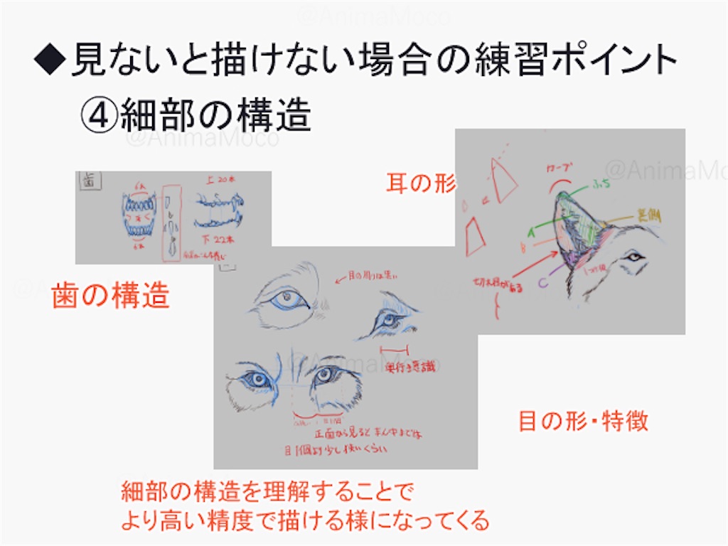 f:id:kuron0608:20191226140508j:image