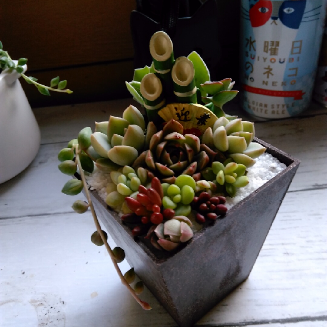 f:id:kuroneko-m:20211231090418j:plain